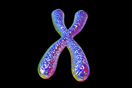 Human chromosome isolated on black background