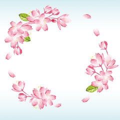 Spring Cherry blossoms 