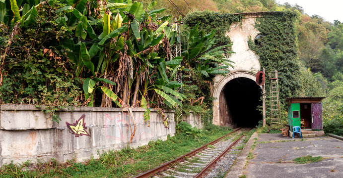 Entrance to an abandoned train tunnel overgrown by jungle plants