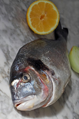 Healthy eating. Bream fish preparation. Seafood with vegetables
