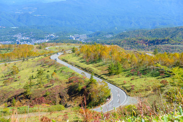 Shiga Kusatsu road in autumn
