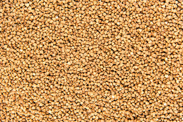 Pile of buckwheat seeds