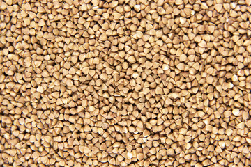 Pile of buckwheat seeds