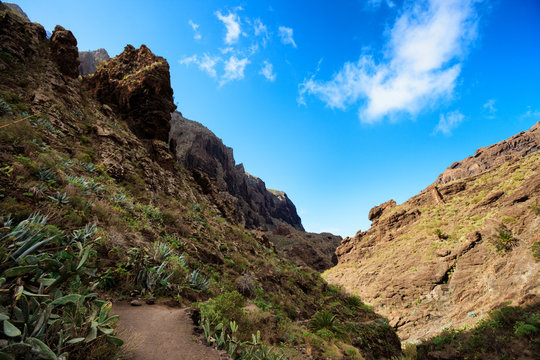Beautiful Tenerife landscape - Masca Valley