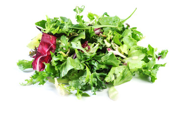 Green, red leaf of lettuce and rocket salad. Isolated on a white