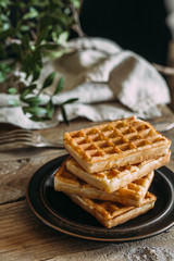 Plate of belgian waffles 
