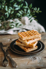 Plate of belgian waffles 