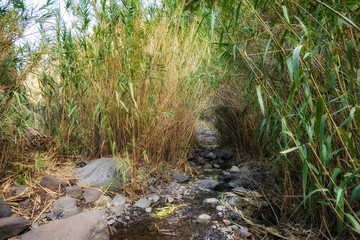 Beautiful Tenerife landscape - Masca Valley