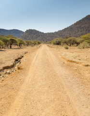 Fototapeta na wymiar Botswana Dirt Road