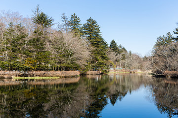 Fototapeta na wymiar Pond in karuizawa