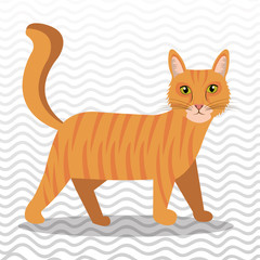 cute cat design 