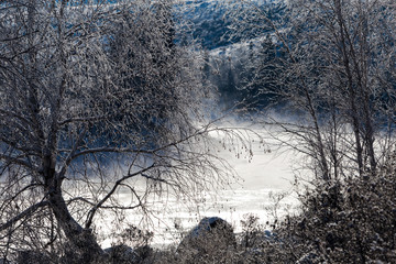 Fototapeta premium Katun river in the winter at dawn. Gorny Altai, Siberia.