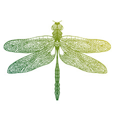 Hand drawn dragonfly on white background