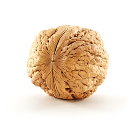 walnuts 