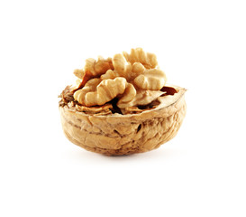 walnut 