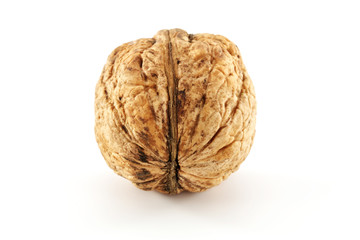 walnut 