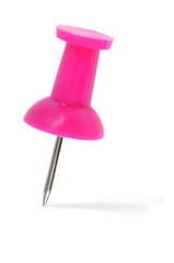 Punaise rose