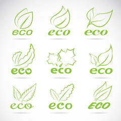 Green leaves design. Ecology icon set. Green eco icons badge vec