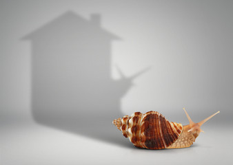 Real estate concept, snail with shadow house