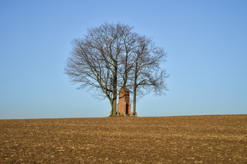 Samotne drzewo i kapliczka © P.Ch. Fotografia