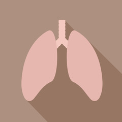 Human lung icon. Health care icon. Lungs - vector icon