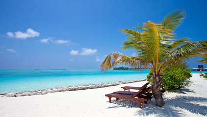 Fototapeta na wymiar Spiaggia alle Maldive