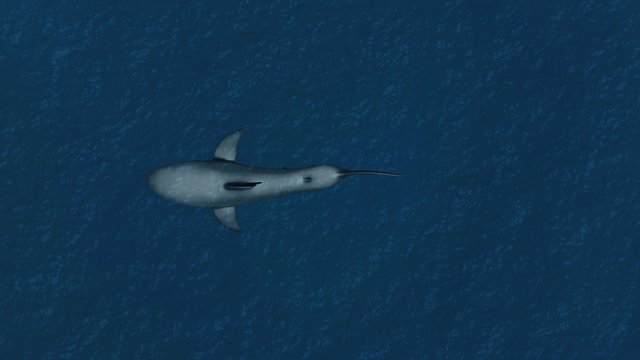 The Great White Shark in the Ocean 3D Animation