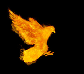 flame flying pigeon bird in action isolated