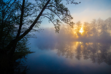 Brouillard matinal sur une rivière