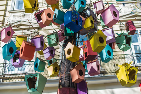 Colorful bird feeders hanging on the tree close up