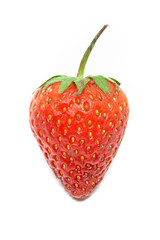 Strawberry berries white background