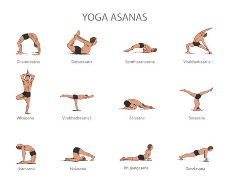 Vector set of yoga poses isolated on white background. Human body stretching positions. Asana concept