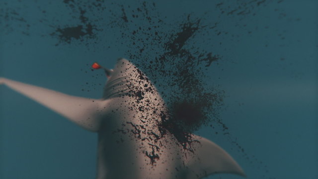 The Great White Shark Attacking