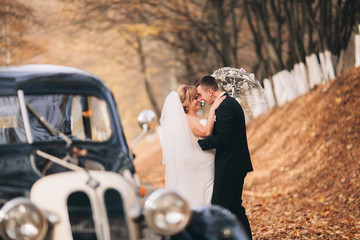 Stylish wedding couple, bride, groom kissing and hugging near retro car in autumn