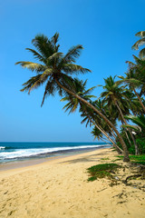 Fototapeta na wymiar Beaches in Sri Lanka