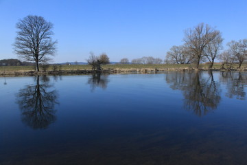 Havellandschaft bei Gülpe im Naturpark Westhavelland