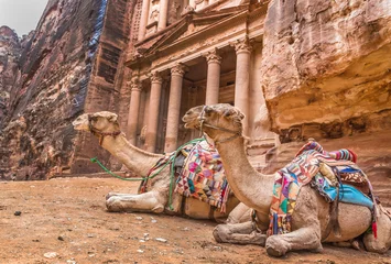 Crédence de cuisine en verre imprimé Chameau Le chameau bédouin se repose près du trésor Al Khazneh