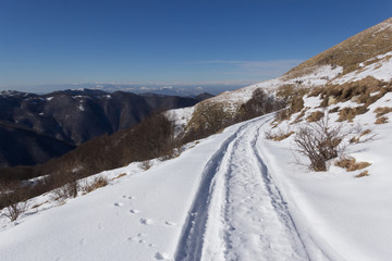 Fototapeta na wymiar Paesaggio con neve