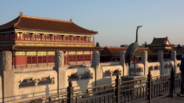 Tourist looks at the bronze heron in Forbidden City. Beijing