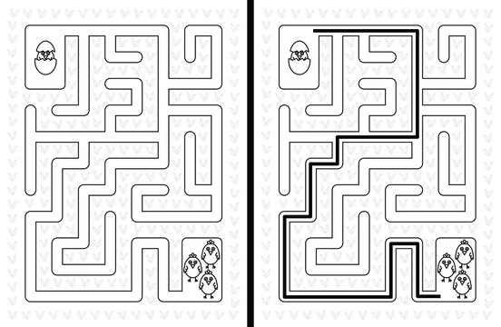 Easy chicken maze