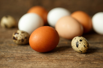 Chicken and quail eggs on a wooden rustic background
