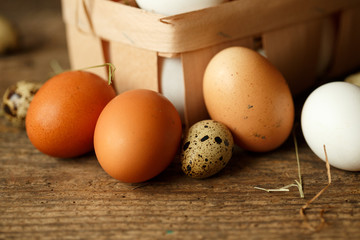 Chicken and quail eggs on a wooden rustic background