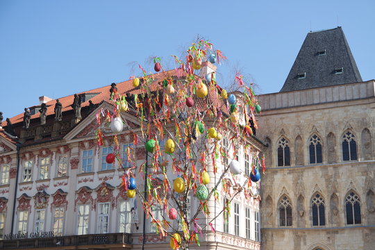 Osterbaum in Prag