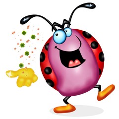 coccinella fortunella