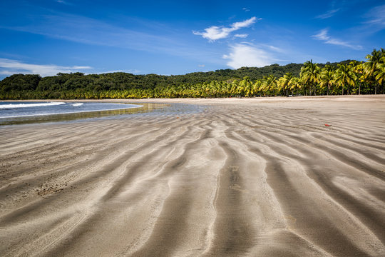 Palm trees on the Carrillo beach