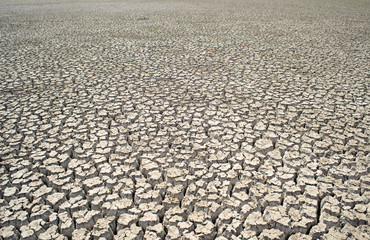  Cracked ground. Dry land. Desert landscape background. Global warming concept