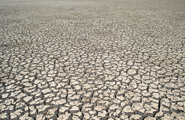  Cracked ground. Dry land. Desert landscape background. Global warming concept
