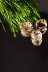 Three quail eggs on the dark background