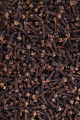 fresh dried clove spice