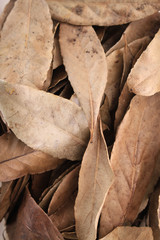 dried bay leaves in dish